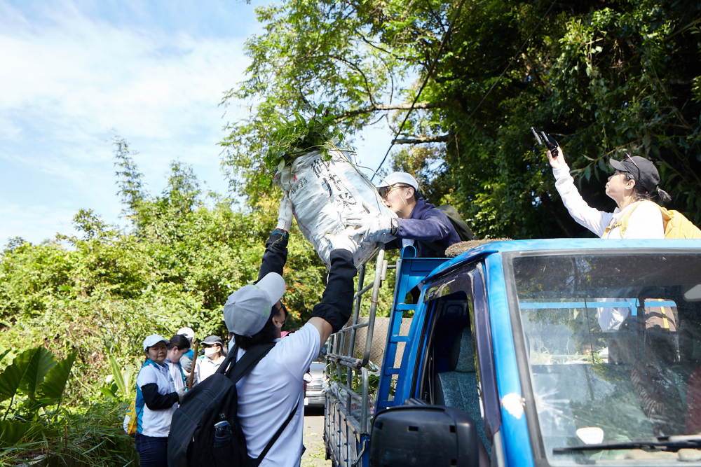 友達串聯志工組成水環境巡守隊，針對霄裡溪沿岸3公里的小花蔓澤蘭，定期進行移除與防治工作